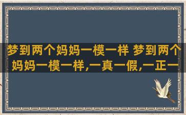 梦到两个妈妈一模一样 梦到两个妈妈一模一样,一真一假,一正一邪